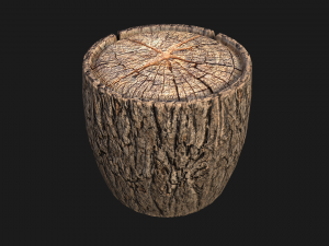 Wooden Stump Modelo 3D