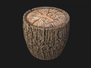 Wooden Stump Modelo 3D
