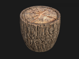 Wooden Stump Modelo 3D