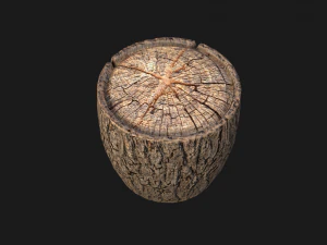Wooden Stump 3D Model