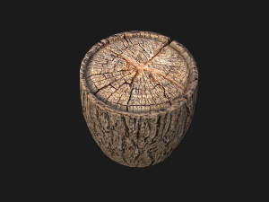 Wooden Stump Modelo 3D