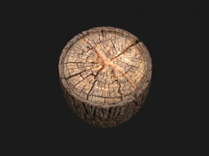 Wooden Stump 3D Model