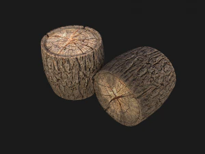 Wooden Stump 3D Model