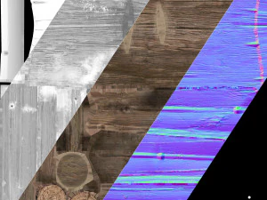 Set of Lumberjack and Firewood 3D Model