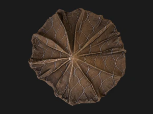 Cylindrical Tent Market Stall Old 3D Model