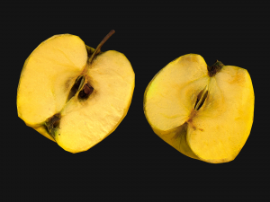 Apple 3D Model