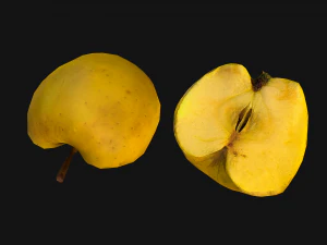 Apple 3D Model