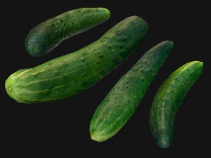 Cucumber 3D Model