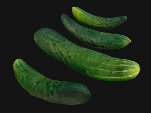 Cucumber 3D मॉडल