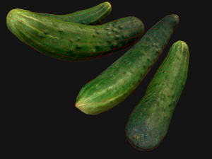 Cucumber 3D मॉडल