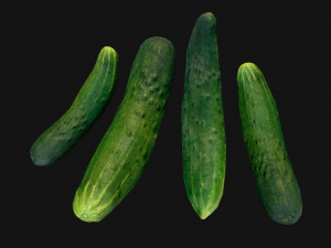 Cucumber 3D मॉडल