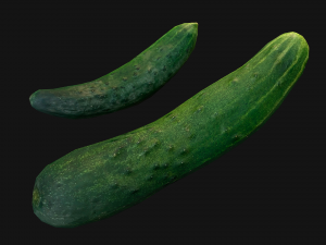 Cucumber 3D मॉडल