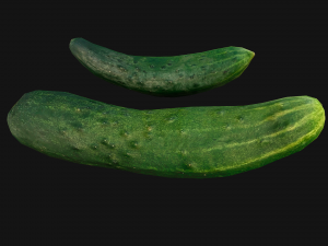 Cucumber 3D मॉडल