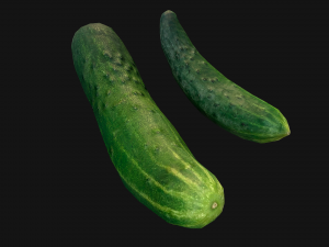 Cucumber 3D मॉडल