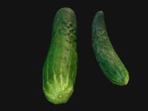 Cucumber 3D मॉडल