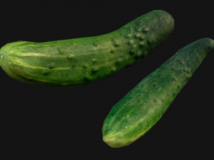 Cucumber 3D मॉडल