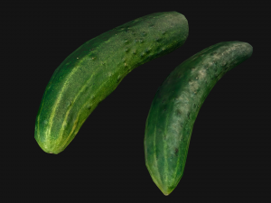 Cucumber 3D मॉडल