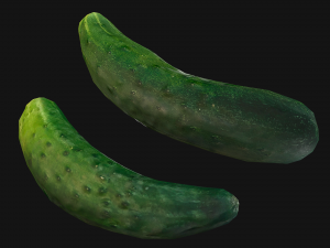 Cucumber 3D मॉडल
