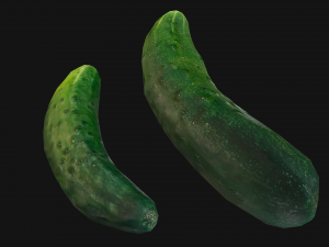 Cucumber 3D मॉडल
