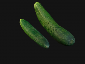 Cucumber 3D मॉडल