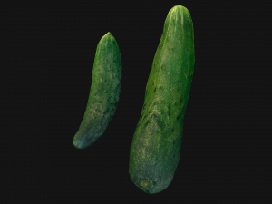 Cucumber 3D मॉडल