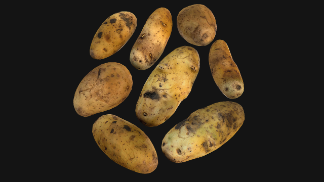 Potato Modelo 3D .c4d .max .obj .3ds .fbx .stl .blend 