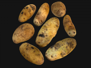 Potato 3D Model