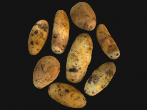 Potato Modelo 3D