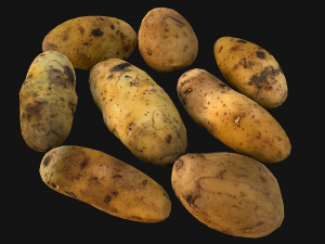 Potato Modelo 3D