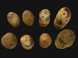 Potato Modelo 3D