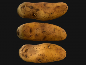 Potato Modelo 3D