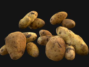 Potato Modelo 3D