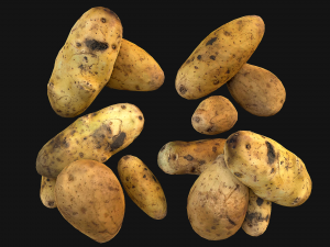 Potato Modelo 3D