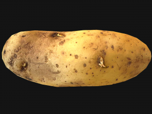 Potato Modelo 3D