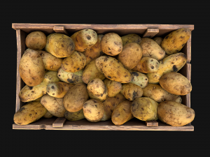 Potato Box Crate Stand Model 3D