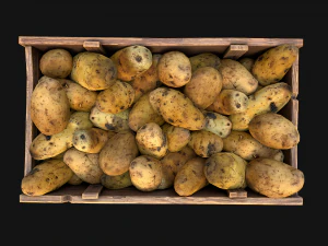 Potato Box Crate Stand Bazaar Stall Vegetable Food 3D Model