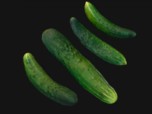 Cucumbers Box Crate Bazaar Food Stand Stall 3D Model