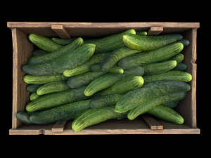 Cucumbers Box Crate Bazaar Food Stand Stall 3D Model