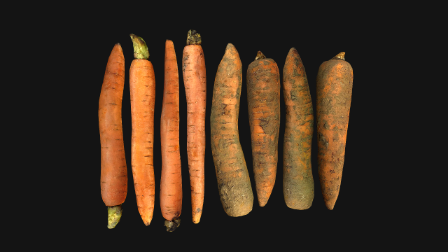 Carrots Vegetables 3D Модель .c4d .max .obj .3ds .fbx .stl .blend 