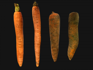 Carrots Vegetables 3D Модель