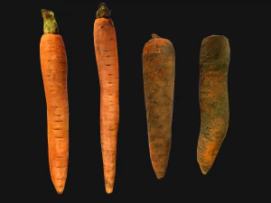 Carrots Vegetables Bazaar Food Garden bed 3D Model