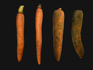 Carrots Vegetables 3D Модель