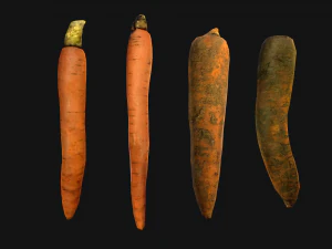 Carrots Vegetables Bazaar Food Garden bed 3D Model