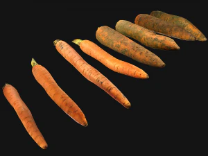 Carrots Vegetables Bazaar Food Garden bed 3D Model