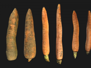 Carrots Vegetables 3D Модель