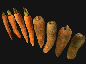 Carrots Vegetables Bazaar Food Garden bed 3D Model