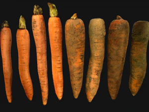 Carrots Vegetables Bazaar Food Garden bed 3D Model