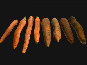 Carrots Vegetables Bazaar Food Garden bed 3D Model