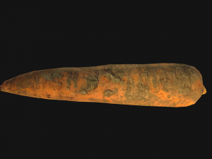 Carrots Vegetables 3D Модель