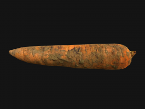 Carrots Vegetables 3D Модель